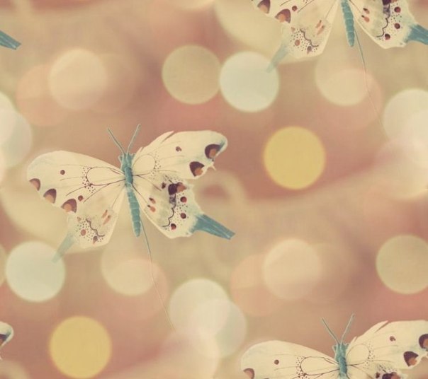 Бесшовные фоны с бабочками и насекомыми J_PalWzh6j4